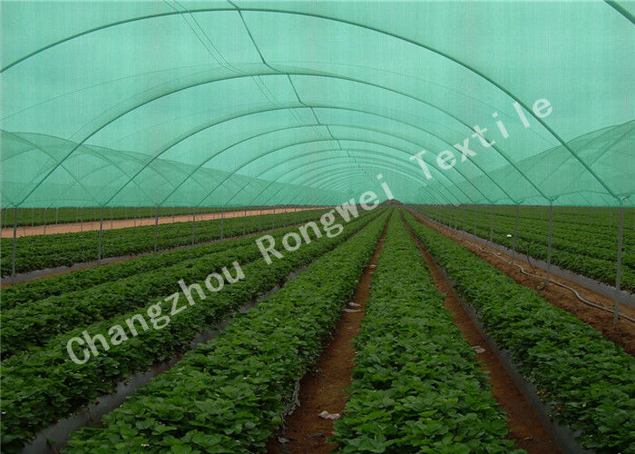 Long Life HDPE Agricultural Shade Nets / Greenhouse Shade Cloth 10% - 99% Shade Rate